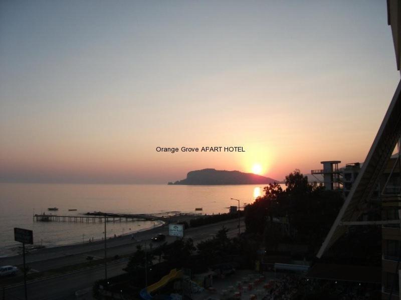 Orange Grove Apart